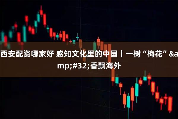 西安配资哪家好 感知文化里的中国丨一树“梅花” 香飘海外