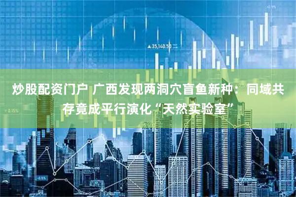 炒股配资门户 广西发现两洞穴盲鱼新种：同域共存竟成平行演化“天然实验室”